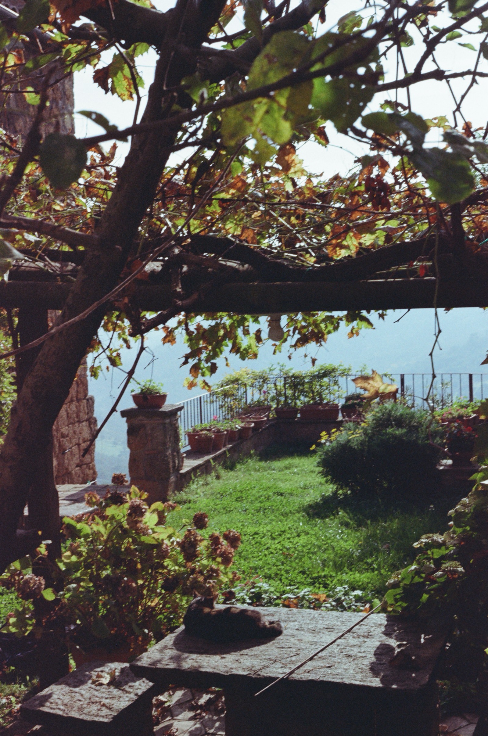 Reggio Emilia, Italy photo 5